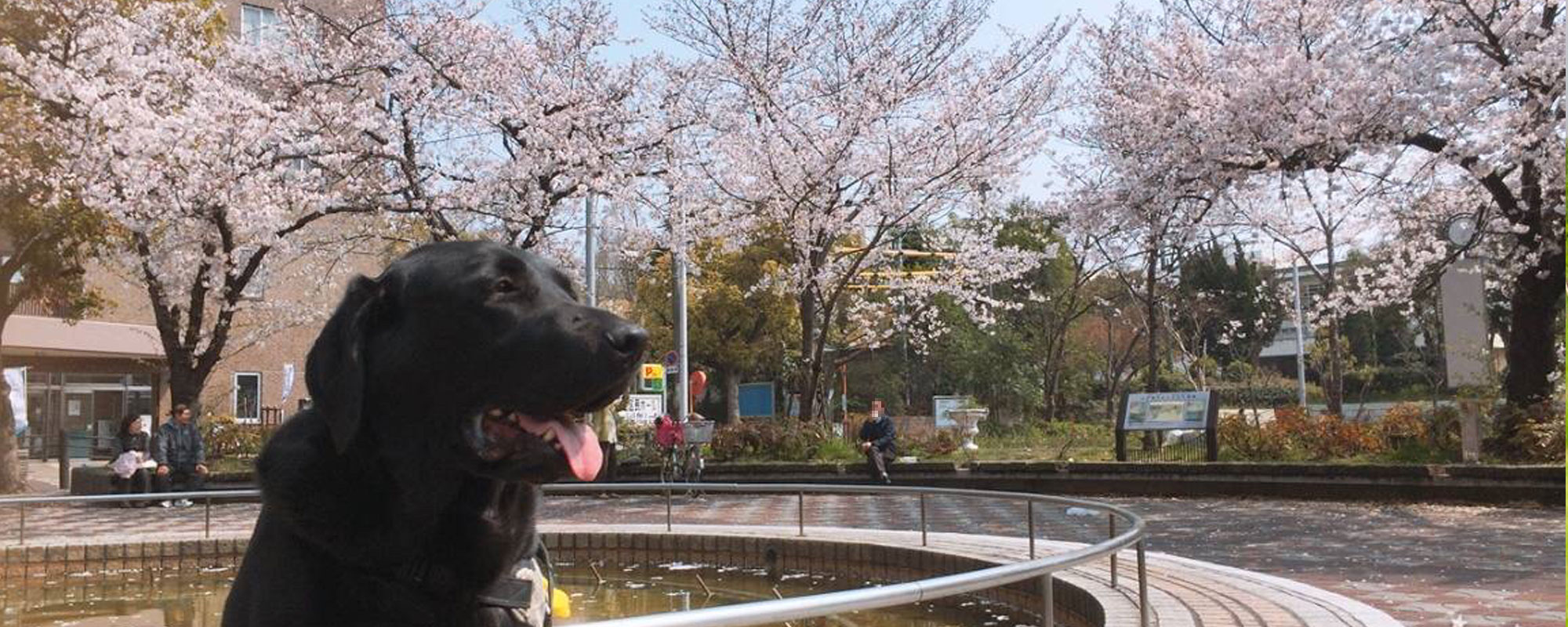 大正フレンズ動物病院（大阪市大正区）