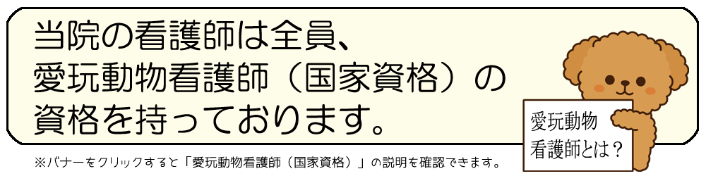 愛玩動物看護師（国家資格）