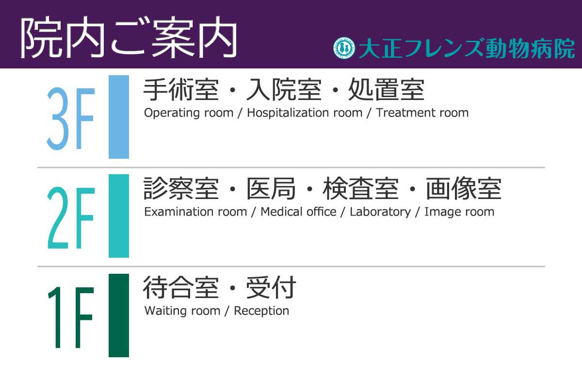大正フレンズ動物病院 フロア案内